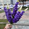 Paquete de comercio exterior fabricantes de jacintos jacinto francés de 5 horquillas blanco violeta camino de boda plomo flores artificiales al por mayor