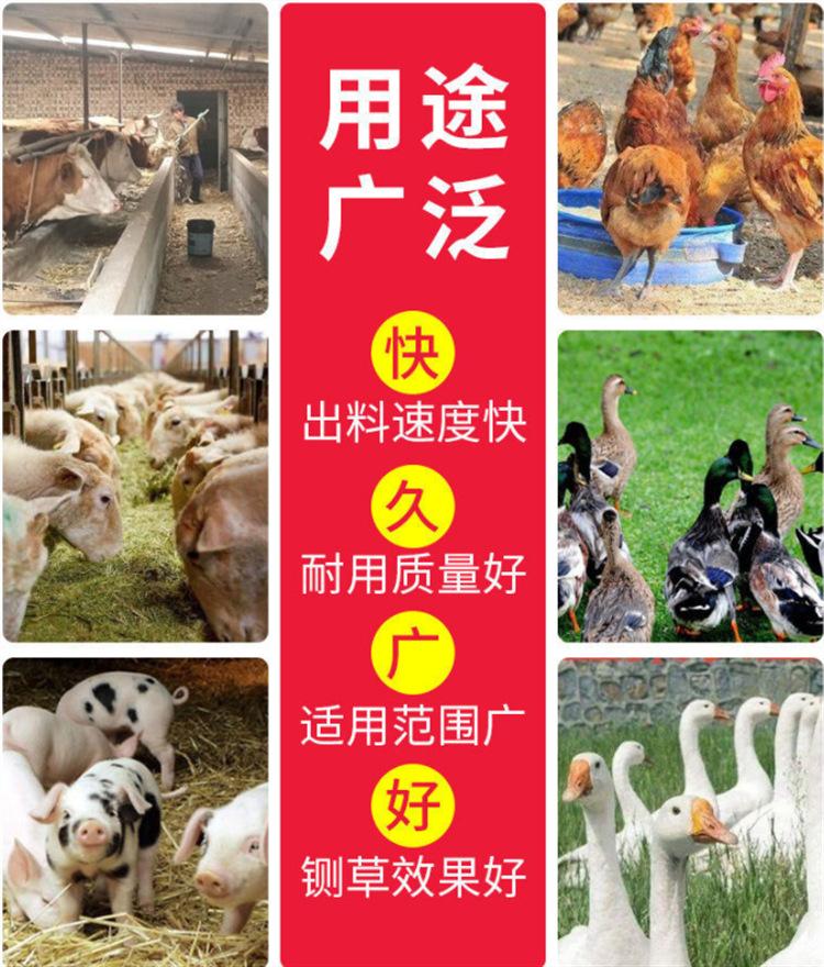 详情15.png
