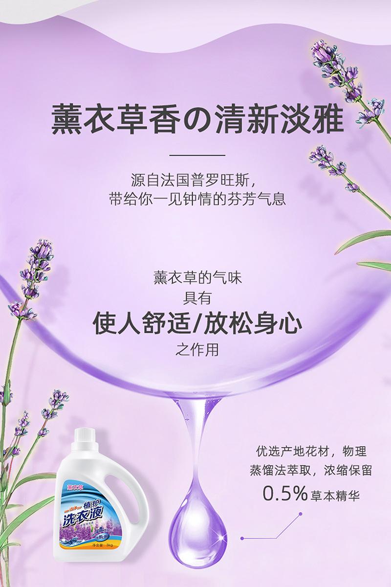 Laundry 薰衣草洗衣液 HC20001-10
