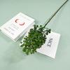 Simulación de boda planta verde Blanco verde decoración de boda flor hoja verde camino alto guía ingeniería decoración planta verde