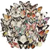 Pacote com 50 Adesivos de Borboleta Coloridos de Desenho Animado Adesivos Transparentes de Pet à Prova d'Água para Decoração de Diário Adesivos para Guitarra Caderno