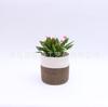 Precio de Fábrica Personalizado Venta al por Mayor Experiencia en Exportación Cuerda de Algodón y Lino Hecha a Mano 28X*28 Cesta de Almacenamiento