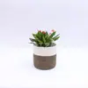 Fabricante personalizado planta alça oculta fio de algodão corda de cânhamo vaso de planta tecido 7 8 11 12 polegadas cesta