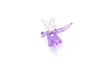 Clip de Planta Phalaenopsis de Colores Forma de Flor Clip Fijador de Enredaderas Accesorios de Clip a Juego para Varilla de Soporte de Injerto de Jardinería