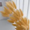 Ramo de Flores de Hierba de Cola de Conejo Seca Mezclado con Flores Inmortales, Paquete de Material para Arreglo Floral de Decoración Natural de Flores Reales Secadas al Aire para Sala de Estar del Hogar