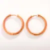Aretes, Aretes de Acero de Titanio, Espirales Gruesos y Delgados, Aretes de Acero Inoxidable Circulares Electrodepositados al Vacío, Venta al por Mayor por Fabricante