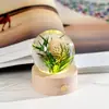 Suministro Transfronterizo Bola de Cristal de Resina Incrustada Luz Nocturna Flor Eterna Base de Madera Maciza Tallada en 3D Luminosa Regalo de Cristal