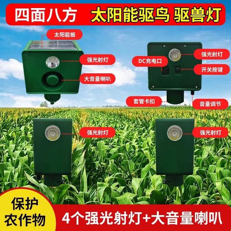 详情-2