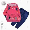 Comercio Exterior Ropa Infantil Primavera y Otoño Conjunto Infantil de Dos Piezas Material Sudadera Sudadera con Capucha Ropa Infantil para Bebés Ropa de Salida [Al por Mayor]