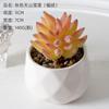 Planta suculenta de simulación, venta al por mayor, decoraciones de plantas verdes, cactus, decoración de interiores para oficina, pequeños adornos, combinación de bonsái