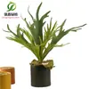 Simulación planta suculenta súper grande tamaño pequeño suculenta bonsái planta verde flor de plástico en maceta micro paisaje con pared vegetal