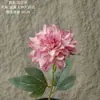 Parede de Flores Rosas, Sonho Estrelado, Dália de Haste Única, Flor Artificial, Decoração de Casa, Buquê, Flor Falsa, Estilo Ins, Transfronteiriço