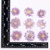 Flores de Perla Esmeralda Rodajas de Flores Secas para Fundición en Resina DIY Materiales Florales Hechos a Mano Plantas Enseñanza Flores Prensadas Muestras Naturales de Flores Reales