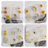 Molde de Silicone para Brinco Pingente Flor Folha Irregular Formato Escudo Forma U Resina Cristal DIY Papoula