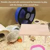 La Fábrica Ha Introducido Nuevas Plataformas de Madera Natural para Hámsteres y Chinchillas, Áreas de Descanso para Animales Pequeños y 1 Accesorio para Jaula