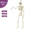 Decoración de Esqueleto de Halloween Esqueleto Artificial de 40 cm Puede Estar de Pie y Colgarse Esqueleto Accesorios de Decoración para Fiesta de Casa Embrujada