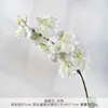 Ramo de Orquídeas Phalaenopsis Artificiales Producto Terminado, Flores Artificiales de Seda para Arreglos de Boda, Flores de Plástico con Acabado de Lujo para Decoraciones de Boda