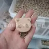 Clips de Chupeta de Madeira, Corrente de Clips de Chupeta de Madeira de Faia, Anti-Perda, Ecológico, Atacado do Fabricante, Arte em Madeira, Madeira Maciça, Minimalista Moderno