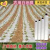 Película Plástica Agrícola Blanca Nueva, Película de Invernadero Transparente para Aislamiento y Retención de Humedad en Cultivos Agrícolas para Árboles Frutales