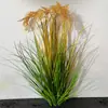 Espigas de Arroz Híbrido: Modelo de Planta de Espiga de Trigo Artificial, Modelo de Campo de Arroz con Espigas de Cebada