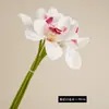 Ramo de 6 tallos de orquídea artificial para arreglo de escena, exhibición decorativa, arte floral, paisajismo de orquídeas de alta gama, flores artificiales