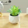 Mini Vaso Diamante Pequeno com Flor Falsa Suculenta Bonsai Criativo Ornamentos de Interior Dropshipping Planta Verde Artificial Planta Vaso