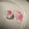 Caja de Joyería para Uñas con Piedras de Cristal Mini Color Mágico Destello de Hielo Lujo Desgaste Armadura Decoración Al por Mayor