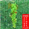 Decoração de Cachos de Uva Roxa e Verde Simulação Uvas Plásticas Falsas Folhas Verdes Videiras de Uva Videiras de Frutas Enfeites Plantas Teto