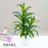 Flor de simulación planta de simulación de alta calidad lirio bambú planta verde artificial planta en maceta de simulación venta al por mayor decoración de ventana de sala de estar interior