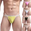 Ropa interior sexy transfronteriza mini traje de baño traje de baño ropa interior sexy AliExpress ebay mujer T Tanga para hombre
