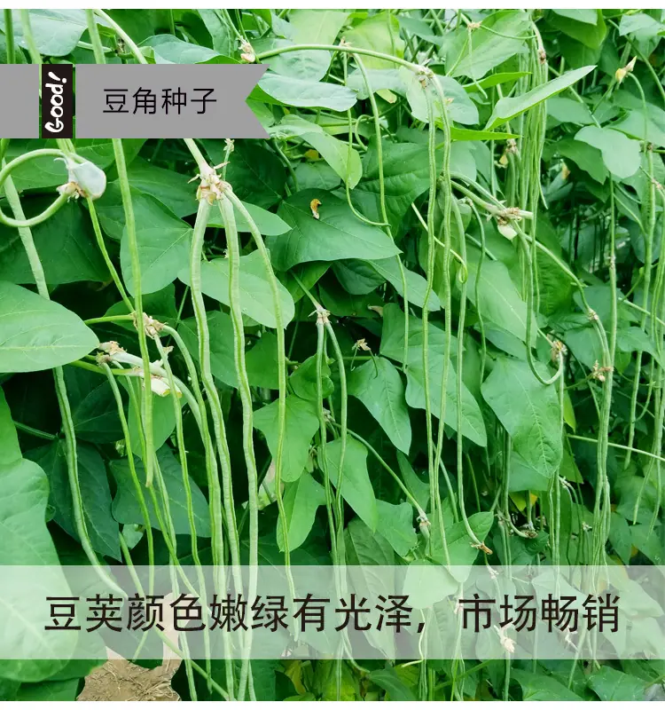 华骏三号03-1