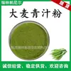 Rui Pa Suministra Polvo de Jugo Verde de Cebada, Polvo de Brotes de Cebada Soluble en Agua, En Stock con Envío Gratis, Polvo de Jugo Verde de Cebada