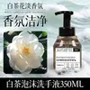 Refil de Sabonete Líquido Espumante para Mãos com Aroma de Chá Branco Específico para Hotel em Recipiente Grande para Pousadas, Hotéis e Fornecedores de Hospitalidade no Atacado
