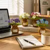 Crochê de Lã Flor-Não-Me-Esquecer Vaso de Flores Pequeno Vaso Tricotado à Mão Ornamento para Plantas Mais Vendido na Amazon Planta em Vaso Artificial