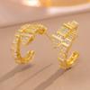 Nuevos Pendientes de Serpiente de Circonita Diseño de Alta Gama Pendientes de Temperamento Nicho para Mujer Franceses Lujo Ligero Pendientes Simples Venta al por Mayor