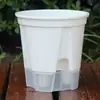 Novo Bacia Verde Transparente para Armazenamento de Água Bacia Auto-Absorvente Preguiçosa Bacia de Controle de Raízes Vaso de Plástico para Flores Atacado Orquídea Borboleta Amarílis