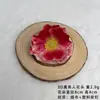 Cabeças de papoulas artificiais impressas em 3D para decoração de cena de casamento, materiais DIY, flores artificiais para paisagismo decorativo, atacado