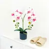 Estilo Escandinavo Negro Vertical Cuenca Negra de Arena Phalaenopsis Artificial en Maceta Arreglo para Escritorio de Oficina Flores Artificiales y Plantas Verdes Pequeño Bonsái