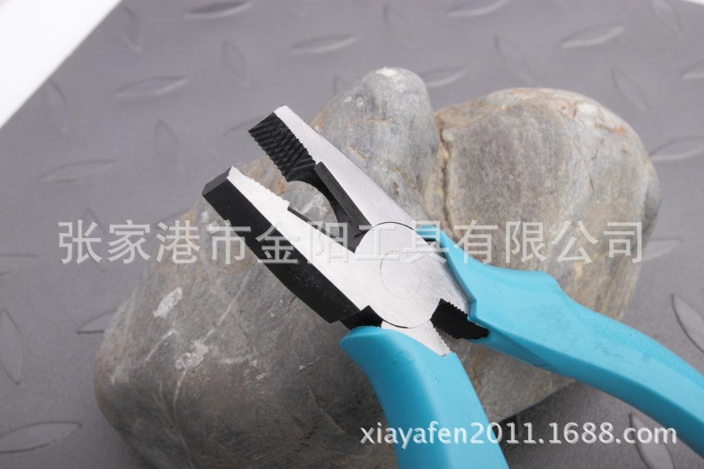 DPP_4083