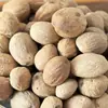 Seleção Completa de Especiarias e Temperos: Escolha Seu Próprio Anis Estrelado Seco, Sementes de Anis, Marinada, Combinação para Ensopado de Carne, Canela, Folhas de Louro, Raiz de Angélica e Anis Estrelado