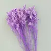 Buquê de Grama de Cristal Eterno de Yunnan Materiais para Fazer Presente de Dia dos Namorados Flores de Cristal Eterno Atacado Multicor