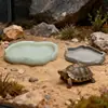 Lagarto Dragão-Barbudos Rocha de Imitação Plástico Tigela de Comida Sapo Cornudo Cobra de Estimação Bacia de Banho Bacia de Água Rasa Tigela de Comida para Répteis