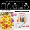 Marcador de Flores Secas Espécimen de Planta Película Selladora Botella Flores Prensadas Recolectadas en Otoño Material Hecho a Mano DIY Flor Transparente