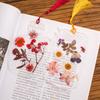 Marcador de Flor Seca Feito à Mão Material DIY Coleção Outono Livro em Garrafa Espécime de Folha Transparente Colagem de Filme Plástico