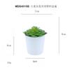 Set de Bonsái de Suculentas de Plástico Mini en Stock, Suculenta Artificial Creativa de Amazon, Flor Artificial Transfronteriza Planta en Maceta Pequeña