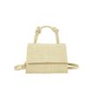 Bolsa Texte Moda Cor Sólida Moda Elegante Bolsa Pequena Bolsa Feminina 2024 Verão Nova Menina Crossbody Bolsa de Ombro