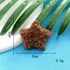 Nuevo Peluche Estrella de Cinco Puntas Accesorios DIY para Tocados Zapatos Calcetines Sombreros Pasadores Tela Dibujos Animados Accesorios