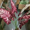 [Hojas de Taro de 9 Puntas] Plantas Simuladas, Plantas Verdes, Plantas en Maceta, Arreglos Florales, Sala de Estar, Decoración de Centro Comercial, Paisajismo de Escenas Interiores y Exteriores