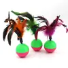 Juguete para gato de plumas de colores Roly-poly para provocar al gato aliviar el aburrimiento interactivo crujiente suministros para mascotas provocar al gato juguete para gato