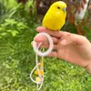 Corda de Voo Ultra Leve Papagaio Corda de Tração para Pássaros ao Ar Livre Retrátil Fênix Negra Pequeno Monge Sol Corda de Caminhada para Pássaros ao Ar Livre
